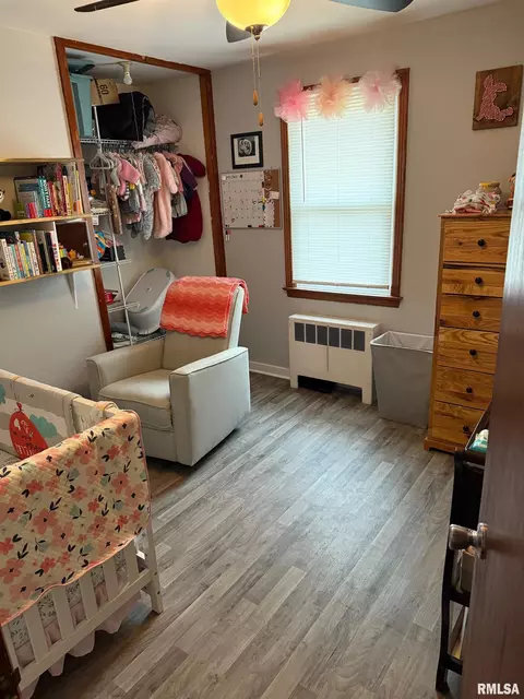 Other - 608 Maple St, Pana, IL 62557 photo 3 of 4