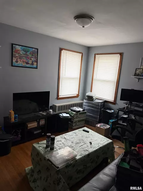 Other - 608 Maple St, Pana, IL 62557 photo 2 of 4