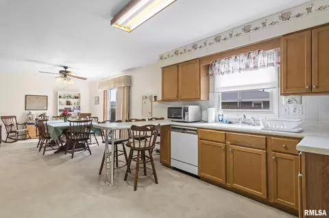 608 Rainbow Dr, Athens, IL 62613 photo 13