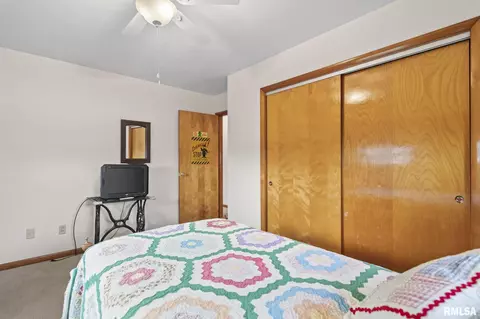 608 Rainbow Dr, Athens, IL 62613 photo 20