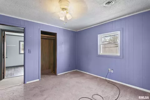 411 N Stephens Ave, Springfield, IL 62702 photo 19