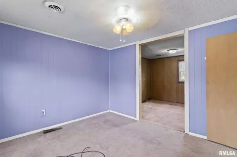 411 N Stephens Ave, Springfield, IL 62702 photo 18