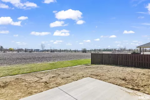 4602 Castle Pines Dr, Springfield, IL 62711 photo 25