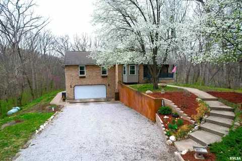 10320 Remington Ln, Carlinville, IL 62626