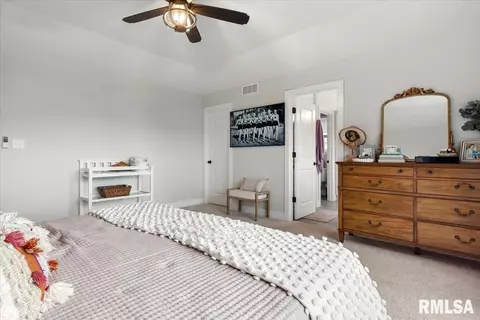 1908 Parthenon, Chatham, IL 62629 photo 23