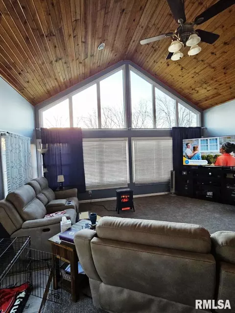 Living - 12720 Soaring Eagle Ln, Plainview, IL 62685 photo 2 of 6