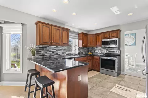 333 Keystone Dr, Chatham, IL 62629 photo 14