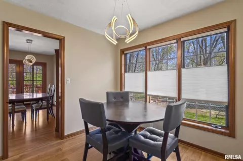 1305 Harmony Ct, Springfield, IL 62703 photo 11