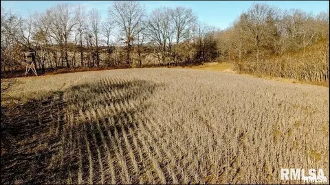 e500n300 E Rd, Oconee, IL 62553 photo 10