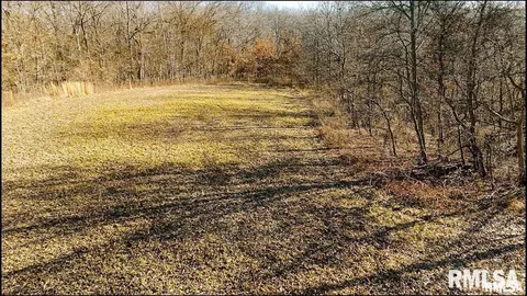 e500n300 E Rd, Oconee, IL 62553 photo 16
