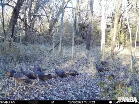 e500n300 E Rd, Oconee, IL 62553 photo 37