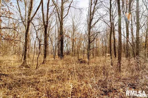 e500n300 E Rd, Oconee, IL 62553 photo 35