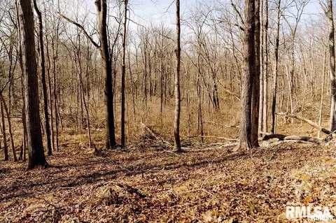 e500n300 E Rd, Oconee, IL 62553 photo 33