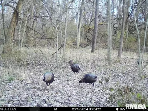 e500n300 E Rd, Oconee, IL 62553 photo 36