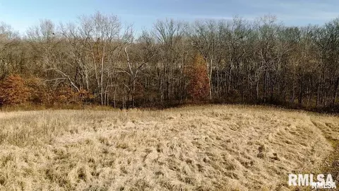 e500n300 E Rd, Oconee, IL 62553 photo 11
