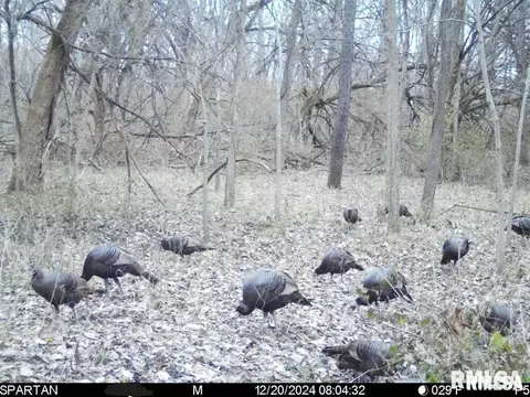 e500n300 E Rd, Oconee, IL 62553 photo 38