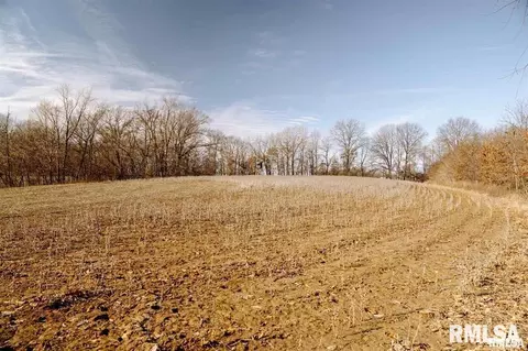 e500n300 E Rd, Oconee, IL 62553 photo 9
