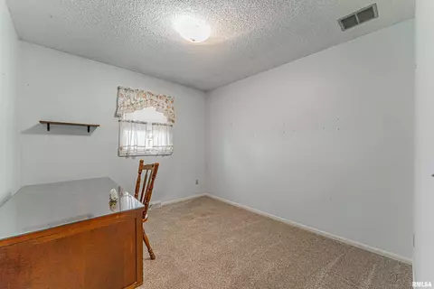 101 N Maple St, Chestnut, IL 62518 photo 15