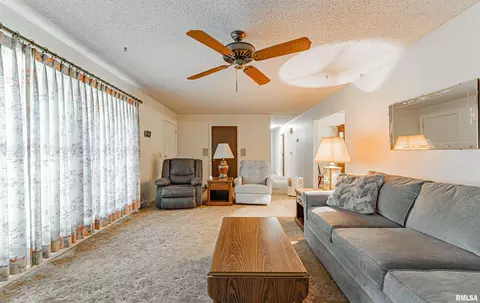 101 N Maple St, Chestnut, IL 62518 photo 5