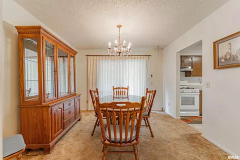 101 N Maple St, Chestnut, IL 62518 photo 6