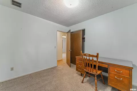 101 N Maple St, Chestnut, IL 62518 photo 16