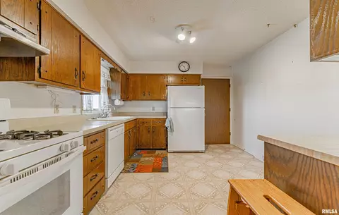 101 N Maple St, Chestnut, IL 62518 photo 8