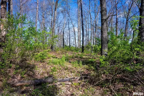 2114 Iuka Rd, Iuka, IL 62849 photo 34