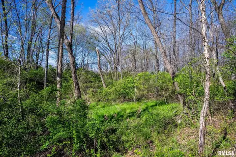 2114 Iuka Rd, Iuka, IL 62849 photo 32