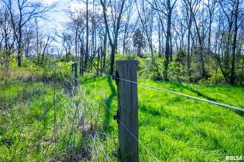 2114 Iuka Rd, Iuka, IL 62849 photo 28