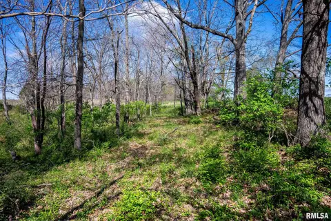 2114 Iuka Rd, Iuka, IL 62849 photo 37