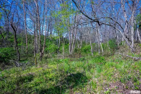 2114 Iuka Rd, Iuka, IL 62849 photo 30