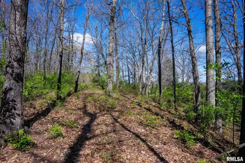 2114 Iuka Rd, Iuka, IL 62849 photo 35