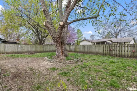 241 N Durkin Dr, Springfield, IL 62702 photo 25