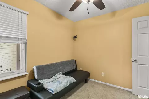 241 N Durkin Dr, Springfield, IL 62702 photo 19