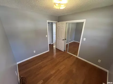 3921 Gooseneck Dr, Springfield, IL 62707 photo 9