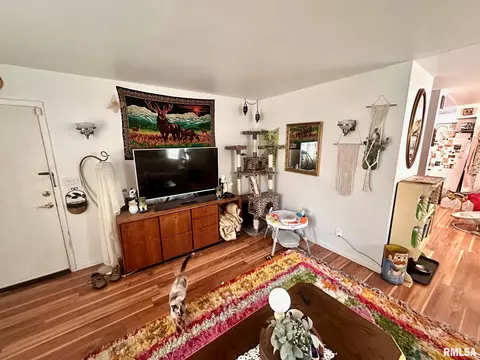 Living - 1038 W Maple Ave, Springfield, IL 62704 photo 4 of 4