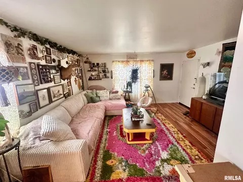 Living - 1038 W Maple Ave, Springfield, IL 62704 photo 3 of 4