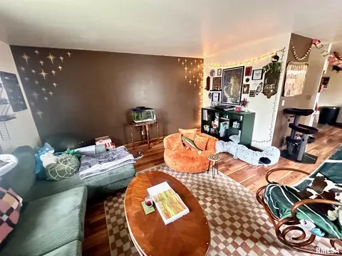 Living - 1038 W Maple Ave, Springfield, IL 62704 photo 2 of 4