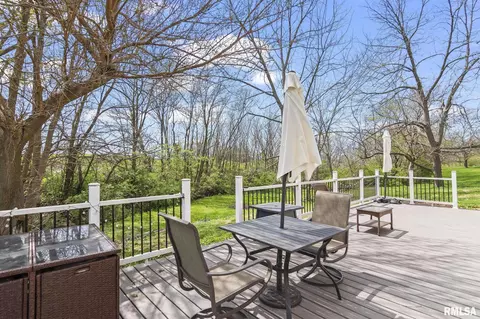 310 W Main St, Tallula, IL 62688 photo 36