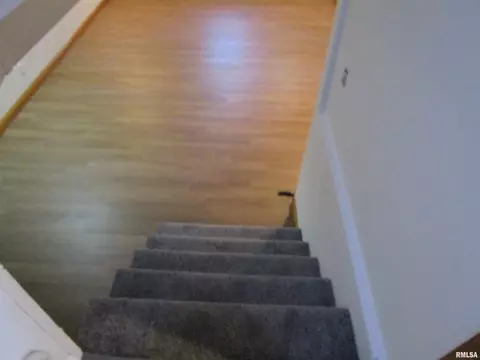 Entry Way - 55 Palomino Rd, Springfield, IL 62702 photo 4 of 9