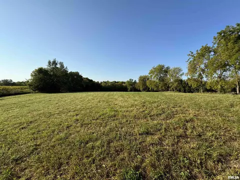 Other - 323 E Cortland St, Avon, IL 61415 photo 3 of 13