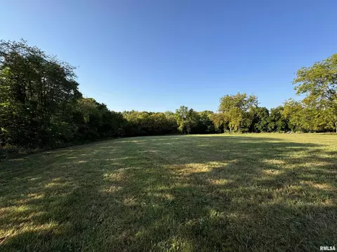 Other - 323 E Cortland St, Avon, IL 61415 photo 4 of 13