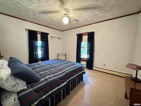 Bedroom - 323 E Cortland St, Avon, IL 61415 photo 4 of 8