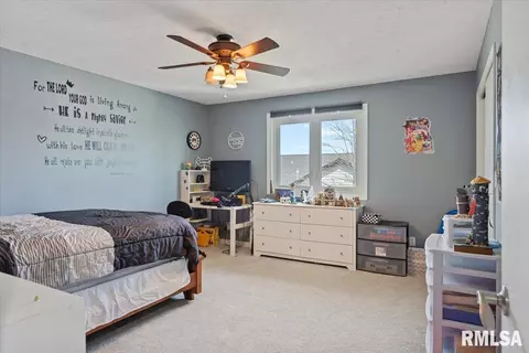 3317 Elderberry Ln, Springfield, IL 62711 photo 33
