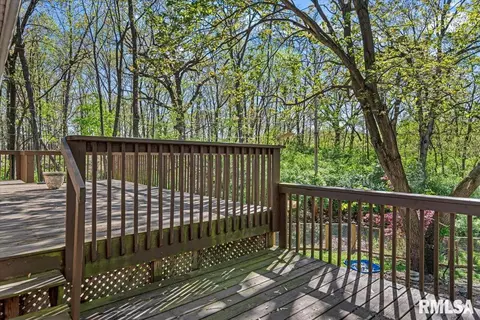8 Timberline Dr, Springfield, IL 62707 photo 50