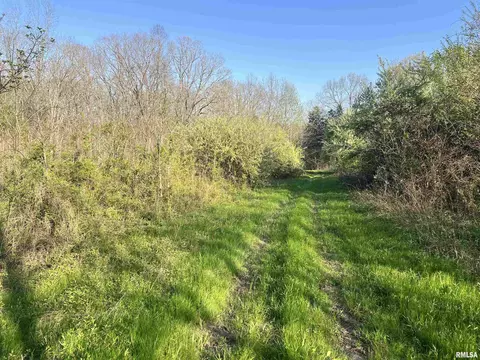 115 Whippoorwill Ln, Simpson, IL 62985 photo 28