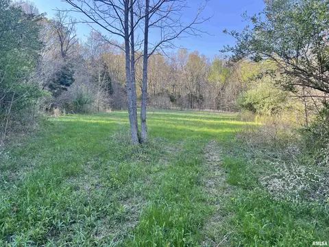 115 Whippoorwill Ln, Simpson, IL 62985 photo 29