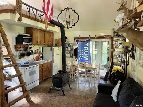 115 Whippoorwill Ln, Simpson, IL 62985 photo 9