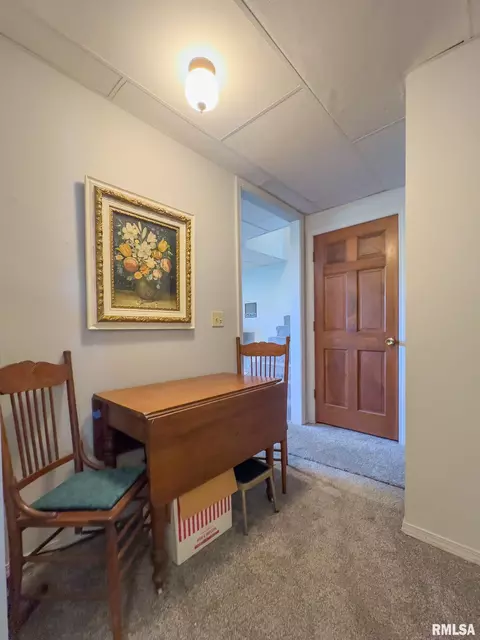 312 N Cedar St, Abingdon, IL 61410 photo 28