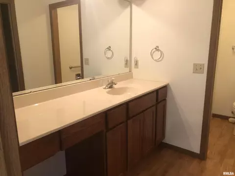 6516 Hayley Ct, Springfield, IL 62712 photo 12